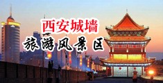 啊啊大鸡巴搞逼网站中国陕西-西安城墙旅游风景区